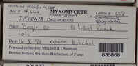 Image Associated With the Occurence